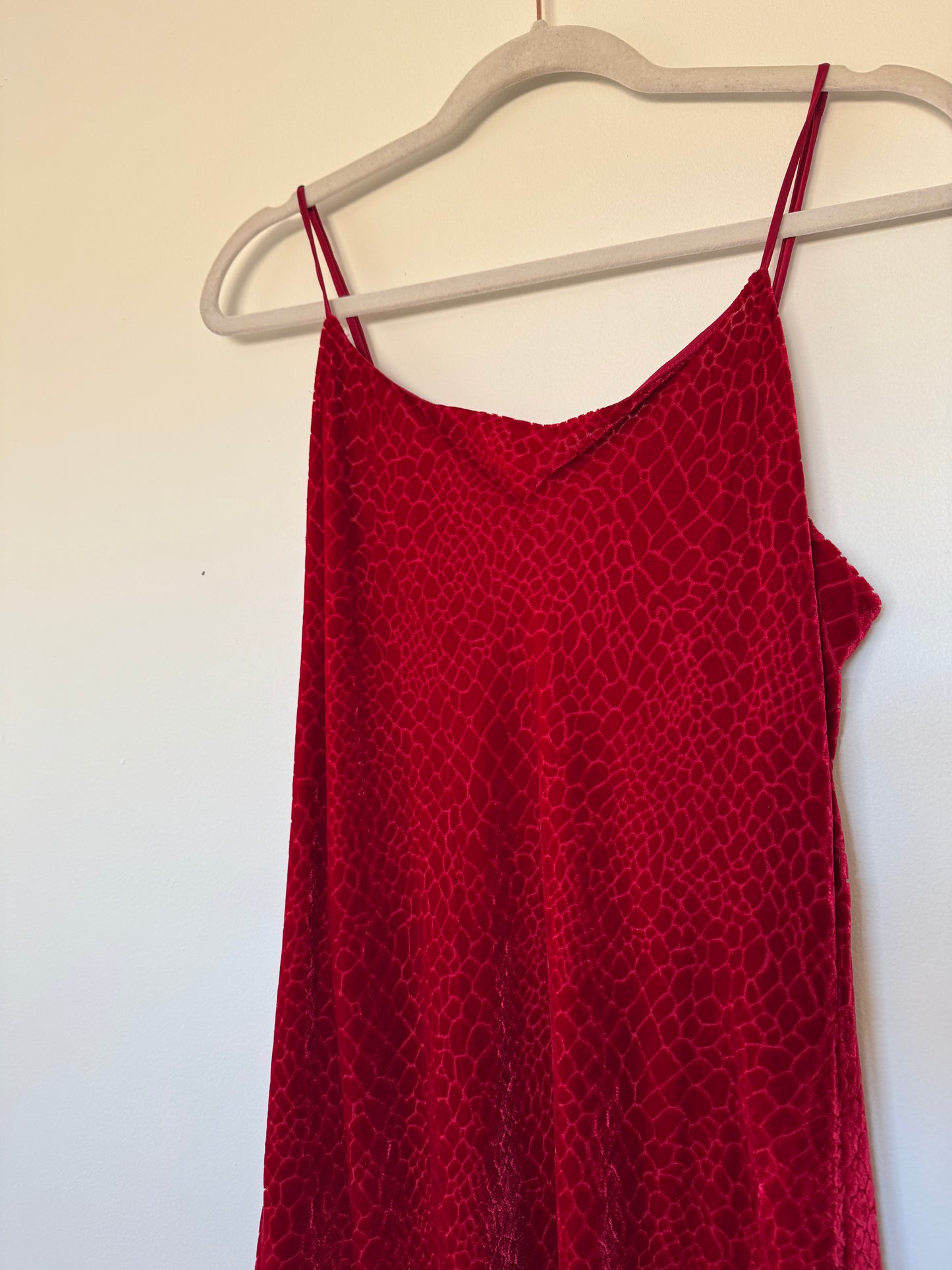 Vintage VS velvet dress