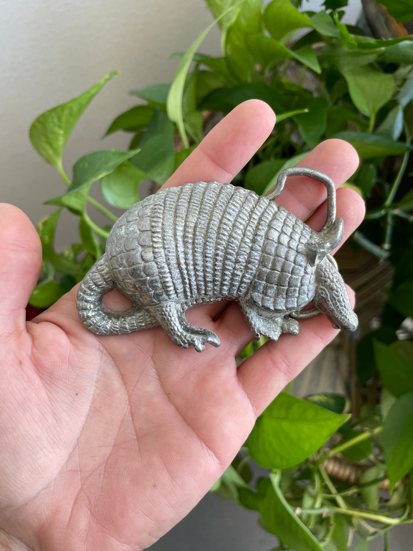 Armadillo Belt Buckle