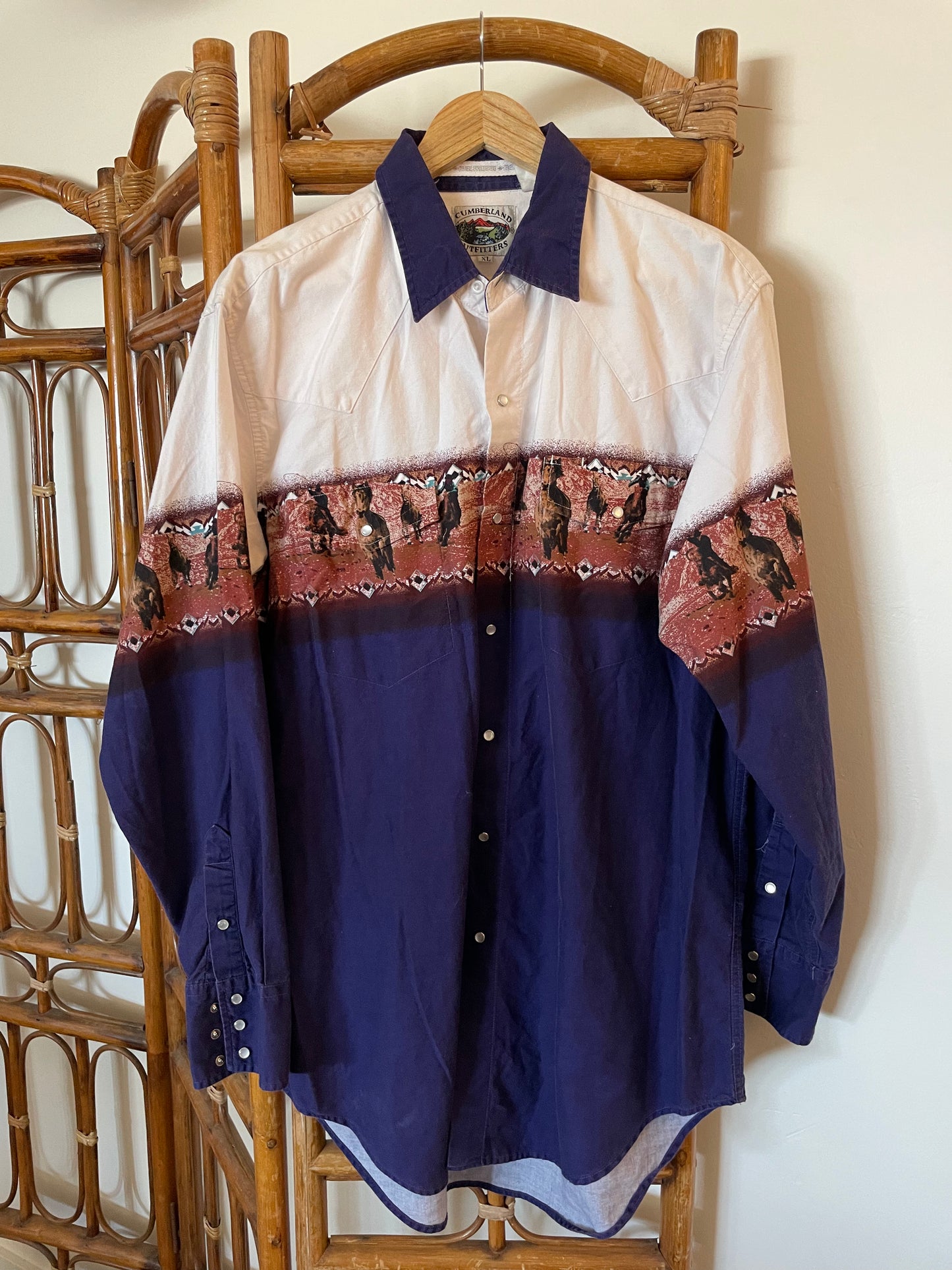 Vintage western scene pearlsnap Sz XL